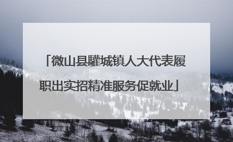 微山县驩城镇人大代表履职出实招精准服务促就业