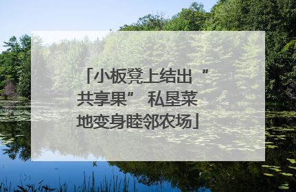 小板凳上结出“共享果” 私垦菜地变身睦邻农场