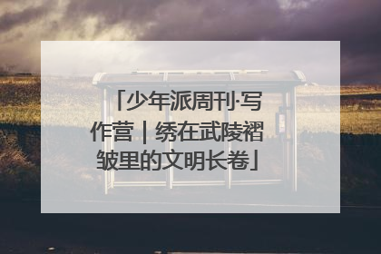 少年派周刊·写作营｜绣在武陵褶皱里的文明长卷