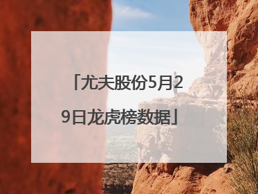 尤夫股份5月29日龙虎榜数据
