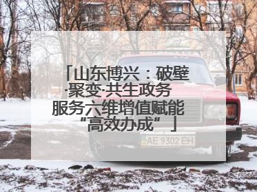 山东博兴：破壁·聚变·共生政务服务六维增值赋能“高效办成”