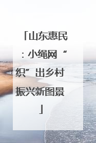 山东惠民：小绳网“织”出乡村振兴新图景