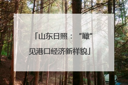 山东日照：“瞰”见港口经济新样貌