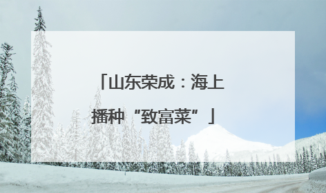 山东荣成：海上播种“致富菜”