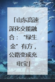 山东高速深化交能融合：“绿生金”有方，公路变成充电宝