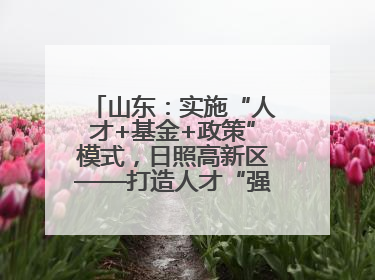 山东：实施“人才+基金+政策”模式，日照高新区——打造人才“强磁场”