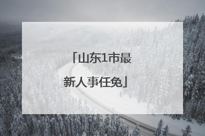 山东1市最新人事任免