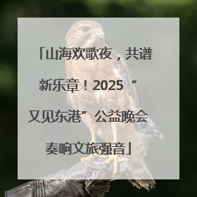 山海欢歌夜，共谱新乐章！2025“又见东港”公益晚会奏响文旅强音
