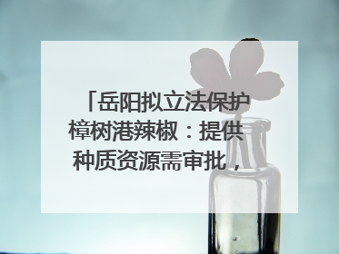 岳阳拟立法保护樟树港辣椒：提供种质资源需审批，违规最高罚5万