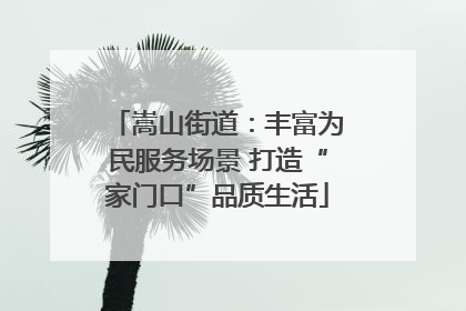 嵩山街道：丰富为民服务场景 打造“家门口”品质生活