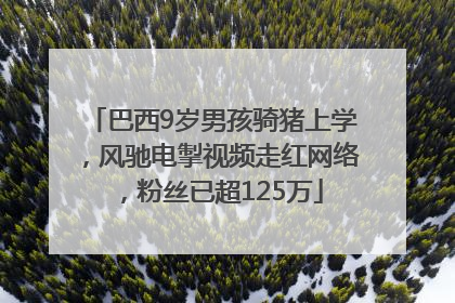 巴西9岁男孩骑猪上学，风驰电掣视频走红网络，粉丝已超125万