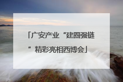 广安产业“建圈强链”精彩亮相西博会