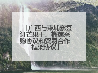 广西与柬埔寨签订芒果干、榴莲采购协议和贸易合作框架协议