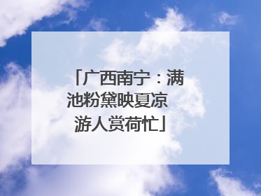 广西南宁：满池粉黛映夏凉 游人赏荷忙