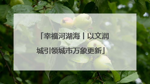 幸福河湖海丨以文润城引领城市万象更新