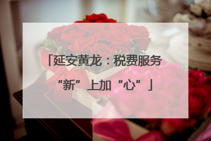 延安黄龙：税费服务“新”上加“心”