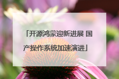 开源鸿蒙迎新进展 国产操作系统加速演进
