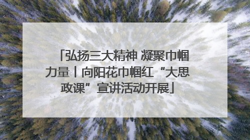 弘扬三大精神 凝聚巾帼力量丨向阳花巾帼红“大思政课”宣讲活动开展