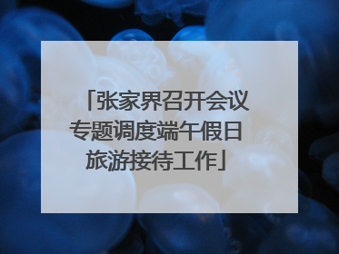 张家界召开会议专题调度端午假日旅游接待工作