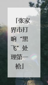 张家界市打响“黑飞”处理第一枪