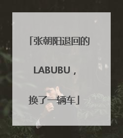 张朝阳退回的LABUBU，换了一辆车