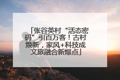张谷英村“活态密码”引百万客！古村焕新，家风+科技成文旅融合新爆点