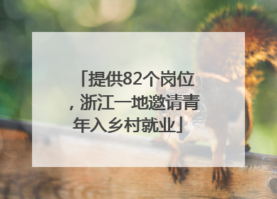 提供82个岗位，浙江一地邀请青年入乡村就业