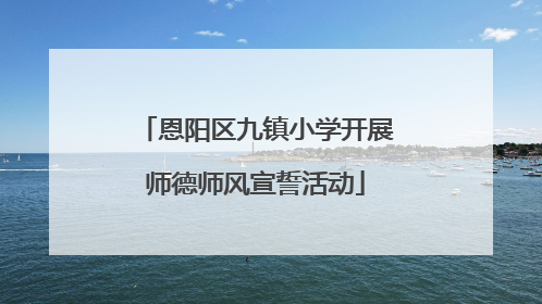 恩阳区九镇小学开展师德师风宣誓活动