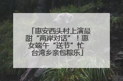 惠安西头村上演最甜“两岸对话”！惠女端午“送节”忙 台湾乡亲包粽乐