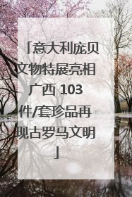 意大利庞贝文物特展亮相广西 103件/套珍品再现古罗马文明
