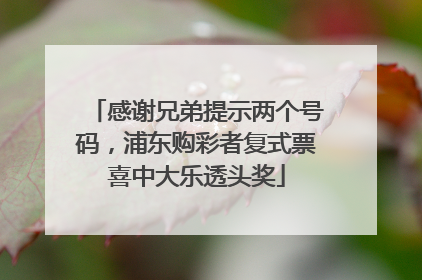 感谢兄弟提示两个号码，浦东购彩者复式票喜中大乐透头奖