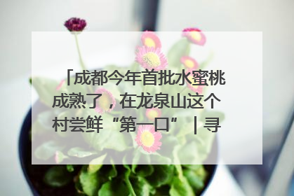 成都今年首批水蜜桃成熟了，在龙泉山这个村尝鲜“第一口”｜寻找和美乡村推荐官
