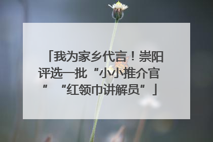我为家乡代言！崇阳评选一批“小小推介官”“红领巾讲解员”