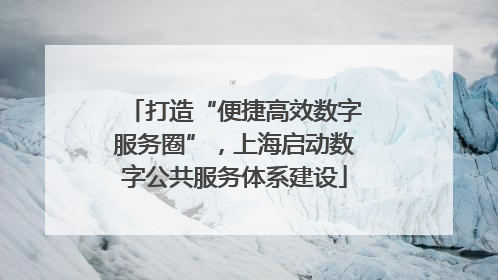 打造“便捷高效数字服务圈”，上海启动数字公共服务体系建设