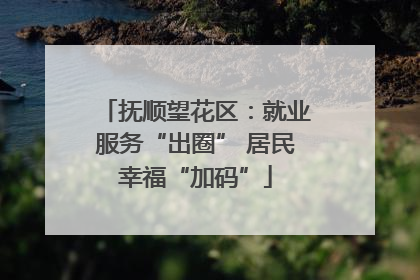 抚顺望花区：就业服务“出圈” 居民幸福“加码”