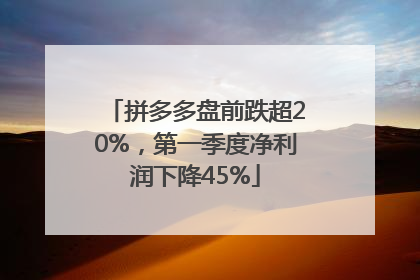 拼多多盘前跌超20%，第一季度净利润下降45%