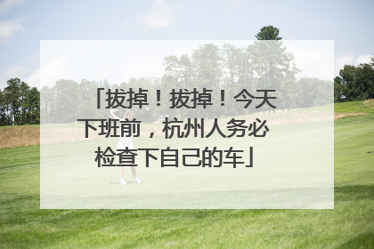 拔掉！拔掉！今天下班前，杭州人务必检查下自己的车
