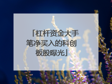 杠杆资金大手笔净买入的科创板股曝光