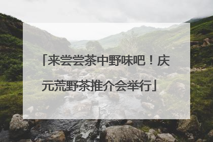 来尝尝茶中野味吧！庆元荒野茶推介会举行