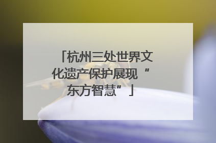 杭州三处世界文化遗产保护展现“东方智慧”