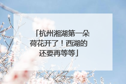 杭州湘湖第一朵荷花开了！西湖的还要再等等