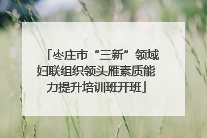 枣庄市“三新”领域妇联组织领头雁素质能力提升培训班开班