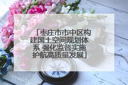 枣庄市市中区构建国土空间规划体系 强化监督实施护航高质量发展