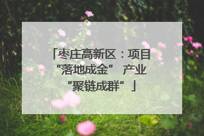 枣庄高新区：项目“落地成金” 产业“聚链成群”