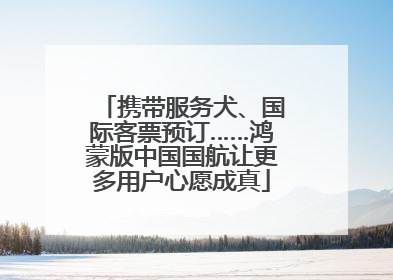 携带服务犬、国际客票预订……鸿蒙版中国国航让更多用户心愿成真