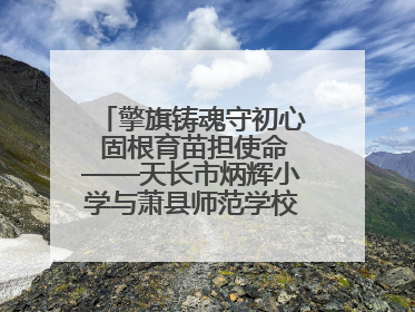 擎旗铸魂守初心 固根育苗担使命——天长市炳辉小学与萧县师范学校附属小学结对共建活动纪实