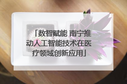 数智赋能 南宁推动人工智能技术在医疗领域创新应用