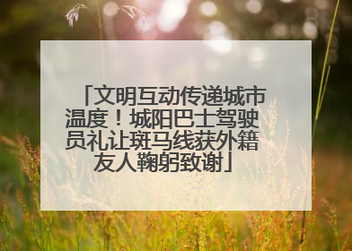 文明互动传递城市温度！城阳巴士驾驶员礼让斑马线获外籍友人鞠躬致谢