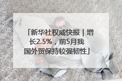 新华社权威快报｜增长2.5%，前5月我国外贸保持较强韧性