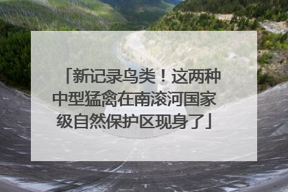 新记录鸟类！这两种中型猛禽在南滚河国家级自然保护区现身了